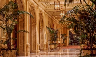 How to Incorporate Exotic Materials into Luxury Interiors